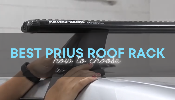 Best Prius Roof Rack
